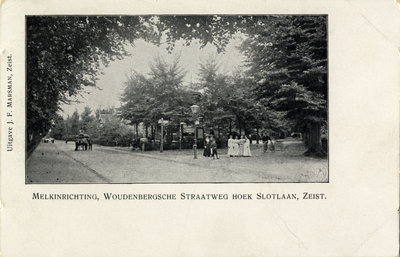 15657 Gezicht in de Slotlaan (links) en de Woudenbergseweg (rechts) met loofbomen te Zeist uit het zuidwesten; met ...